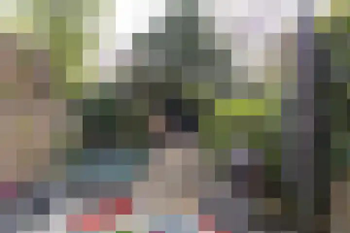 Tuinstraat 58 De Bilt thumbnail 34