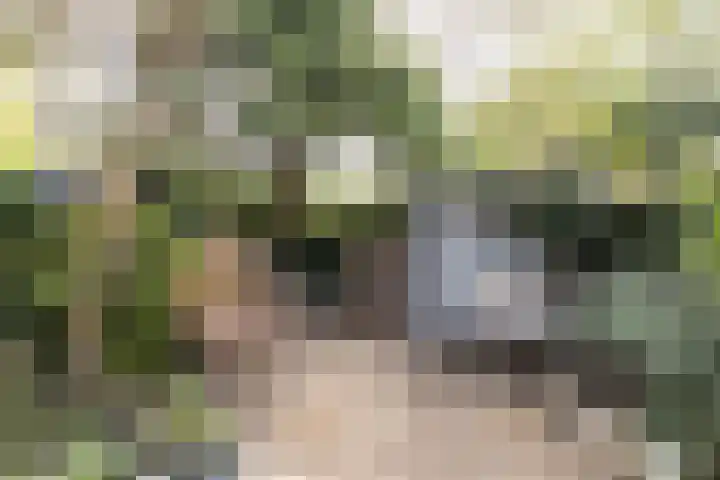 Tuinstraat 58 De Bilt thumbnail 36