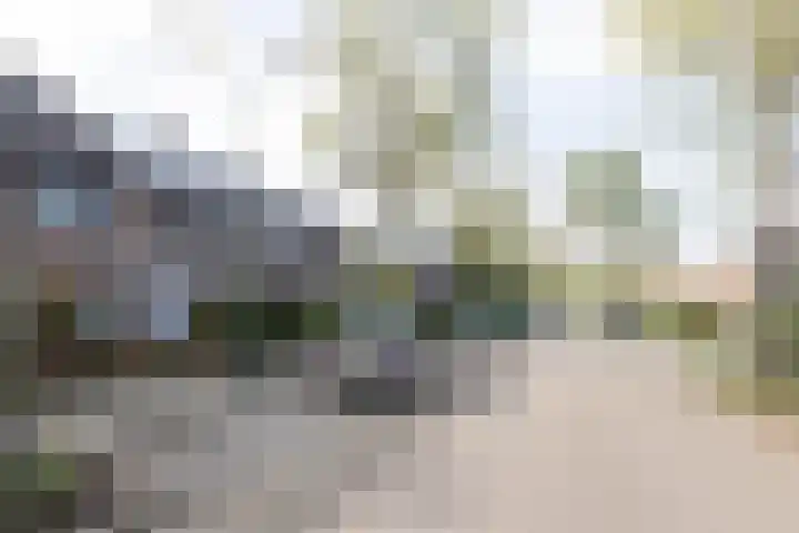 Tuinstraat 58 De Bilt thumbnail 44