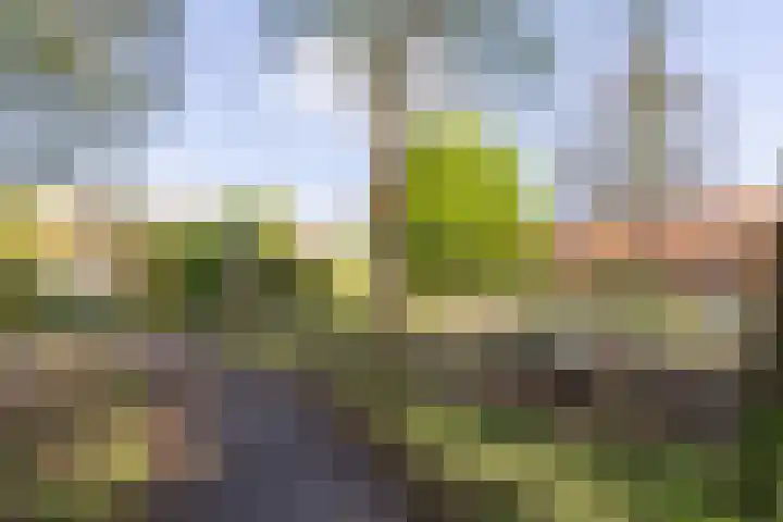Tuinstraat 58 De Bilt thumbnail 45