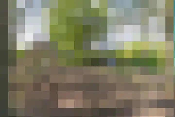 Tuinstraat 58 De Bilt thumbnail 46