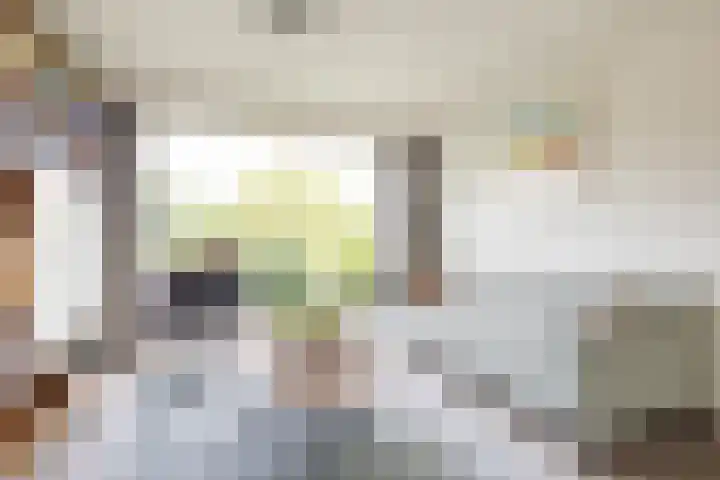 Tuinstraat 58 De Bilt thumbnail 9