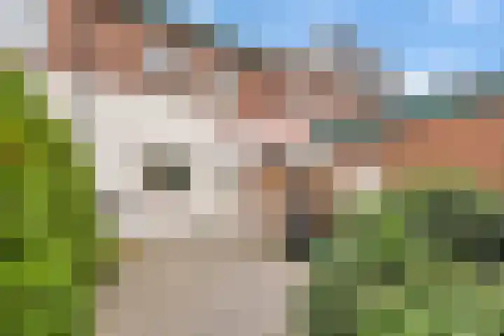 Tuinstraat 58 Zwolle thumbnail 19