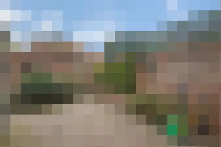 Tuinstraat 58 Zwolle thumbnail 20