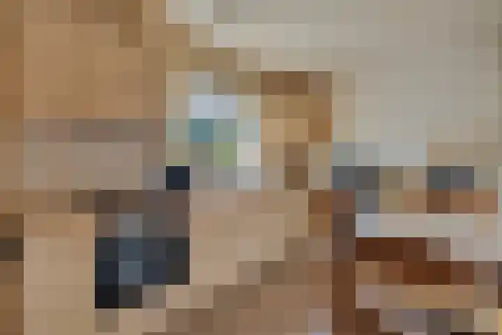 Tuinstraat 58 Zwolle thumbnail 8