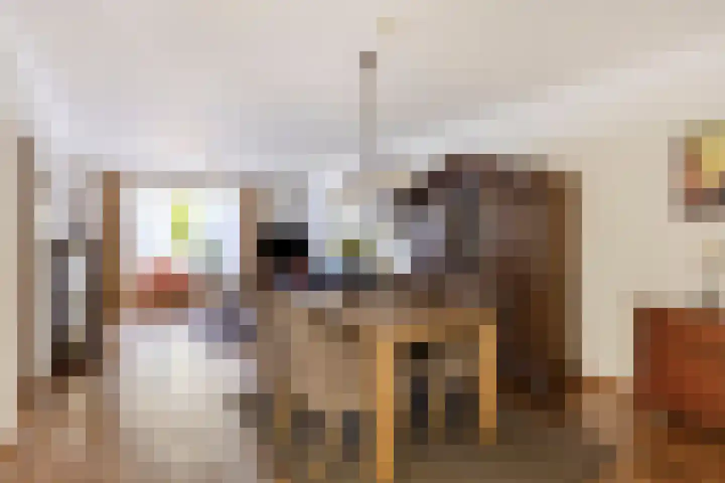 Tuinstraat 6 Asten thumbnail 16