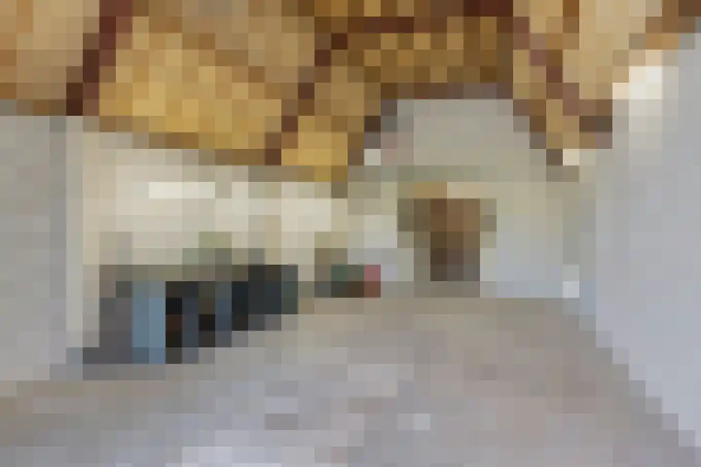 Tuinstraat 6 Asten thumbnail 4