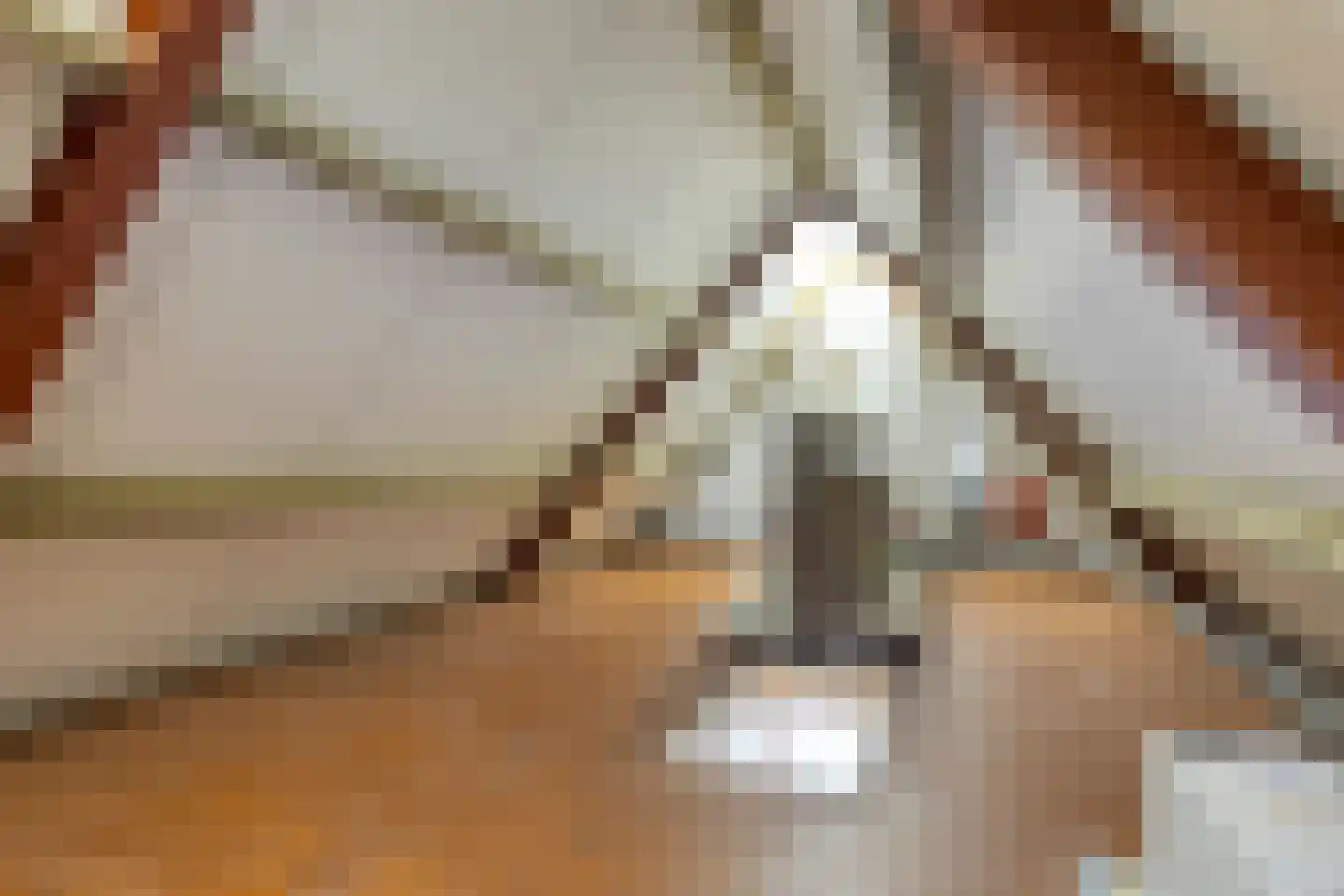 Tuinstraat 6 Asten thumbnail 41