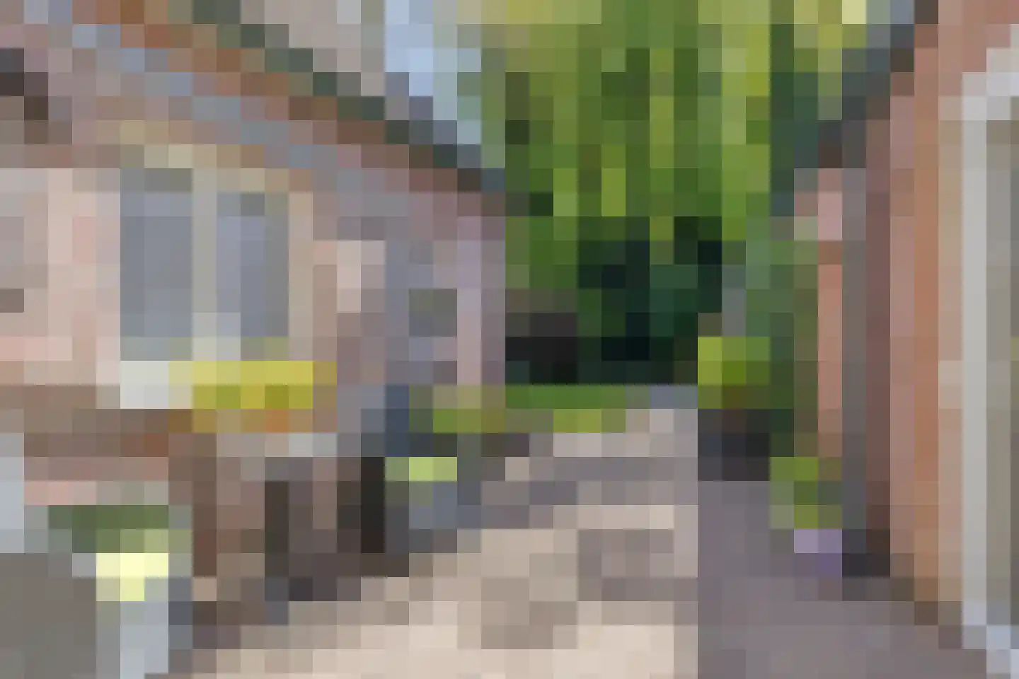 Tuinstraat 6 Asten thumbnail 46