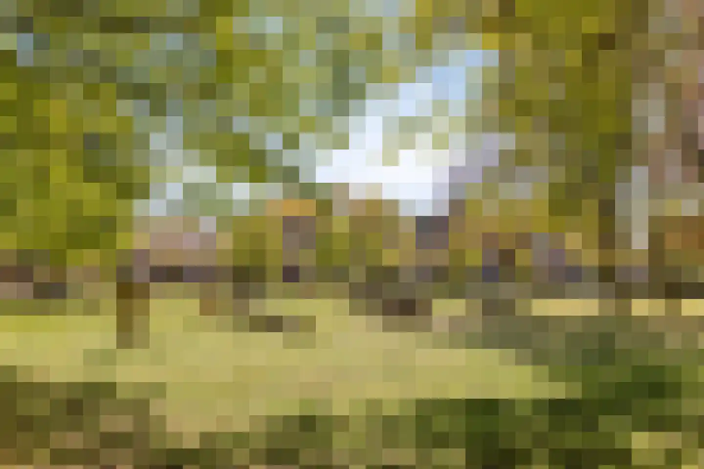 Tuinstraat 6 Asten thumbnail 56