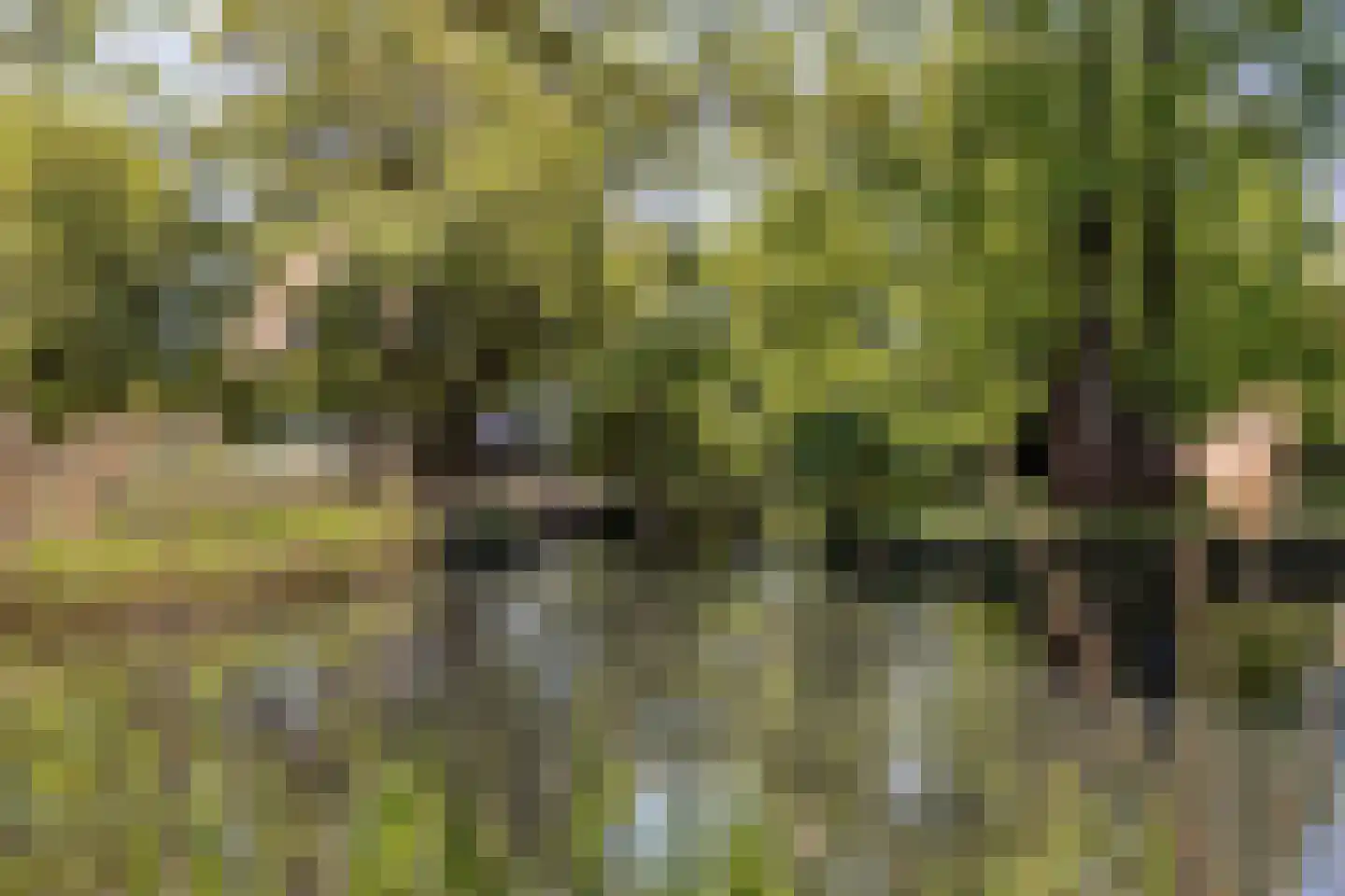 Tuinstraat 6 Asten thumbnail 57