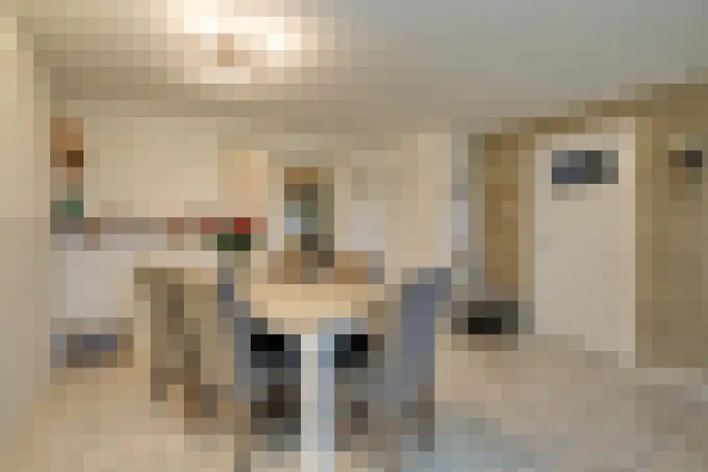 Tuinstraat 6 Benningbroek thumbnail 11