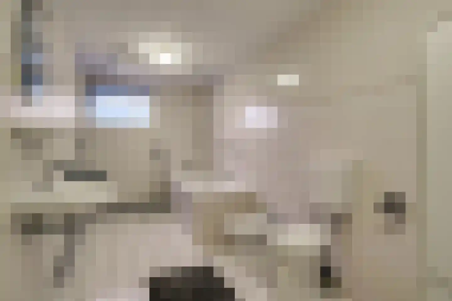 Tuinstraat 6 Benningbroek thumbnail 18