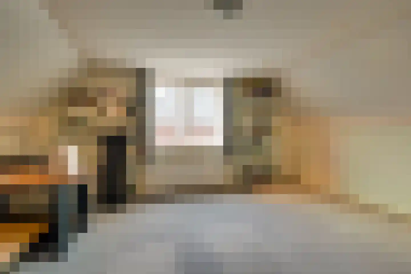 Tuinstraat 6 Benningbroek thumbnail 31
