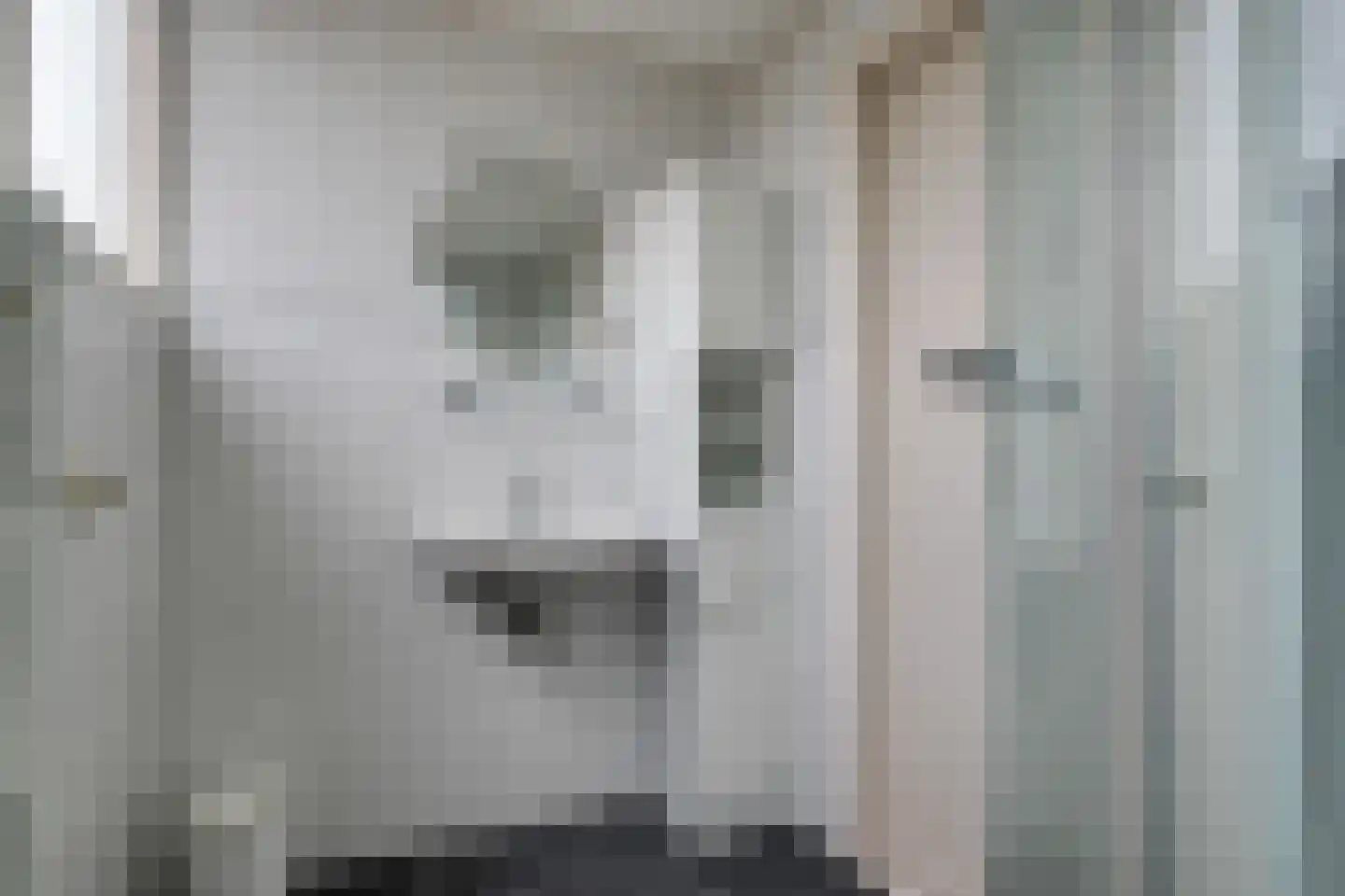 Tuinstraat 6 Benningbroek thumbnail 31
