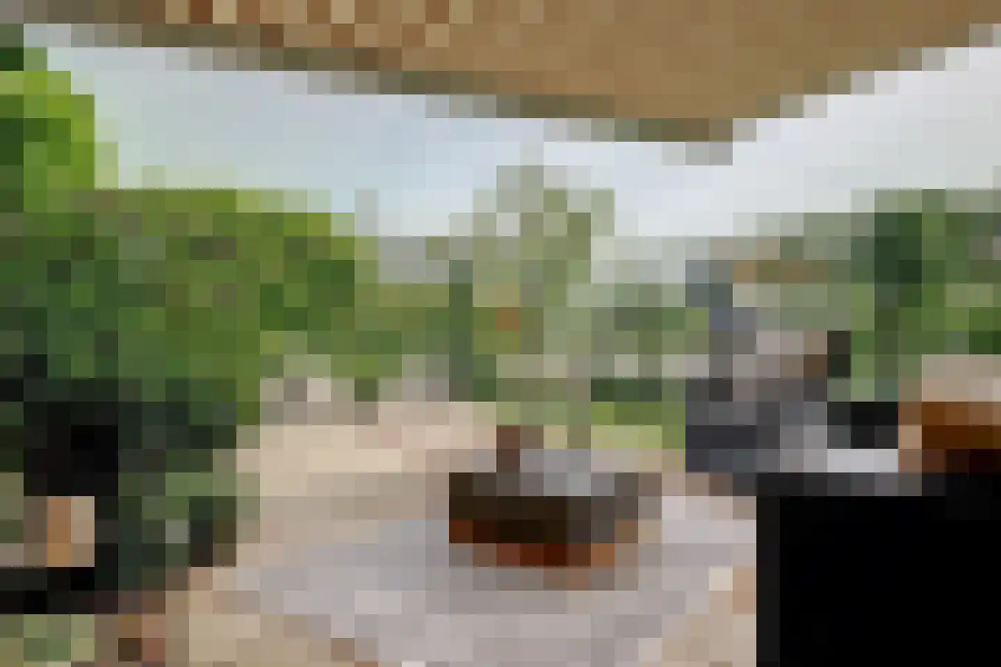 Tuinstraat 6 Benningbroek thumbnail 43