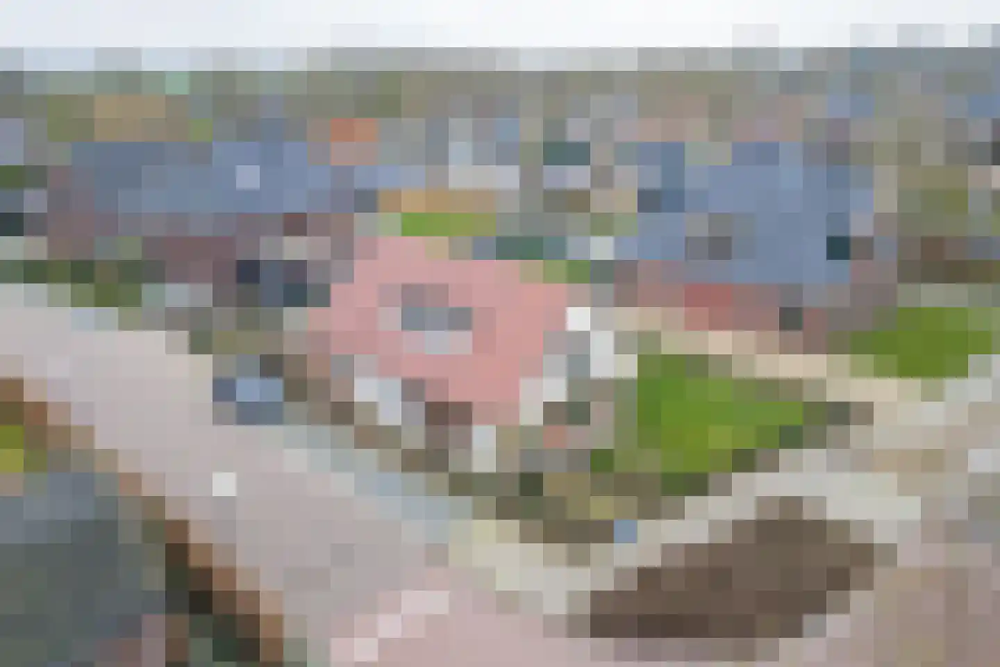 Tuinstraat 6 Benningbroek thumbnail 44