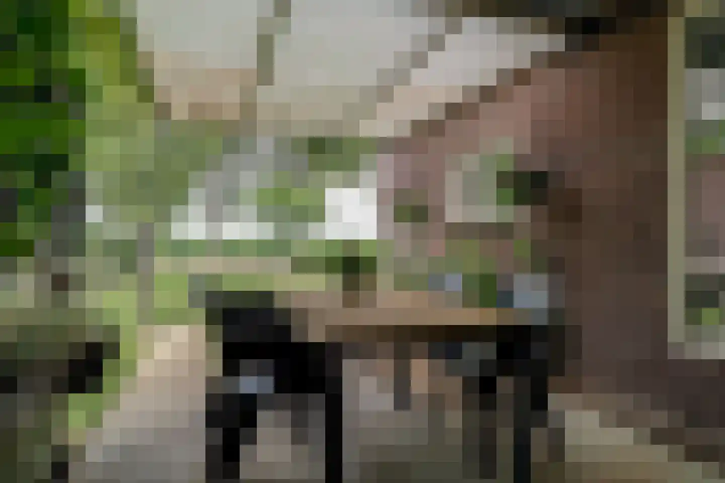 Tuinstraat 6 Benningbroek thumbnail 47