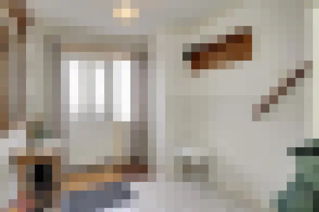 Tuinstraat 6 Benningbroek thumbnail 5