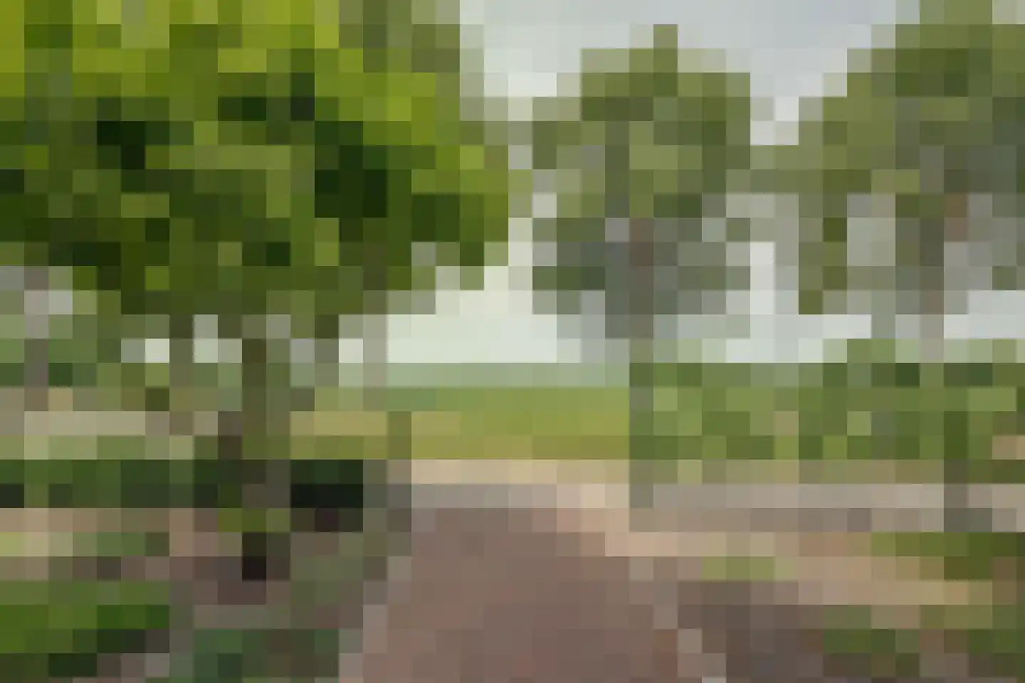 Tuinstraat 6 Benningbroek thumbnail 50
