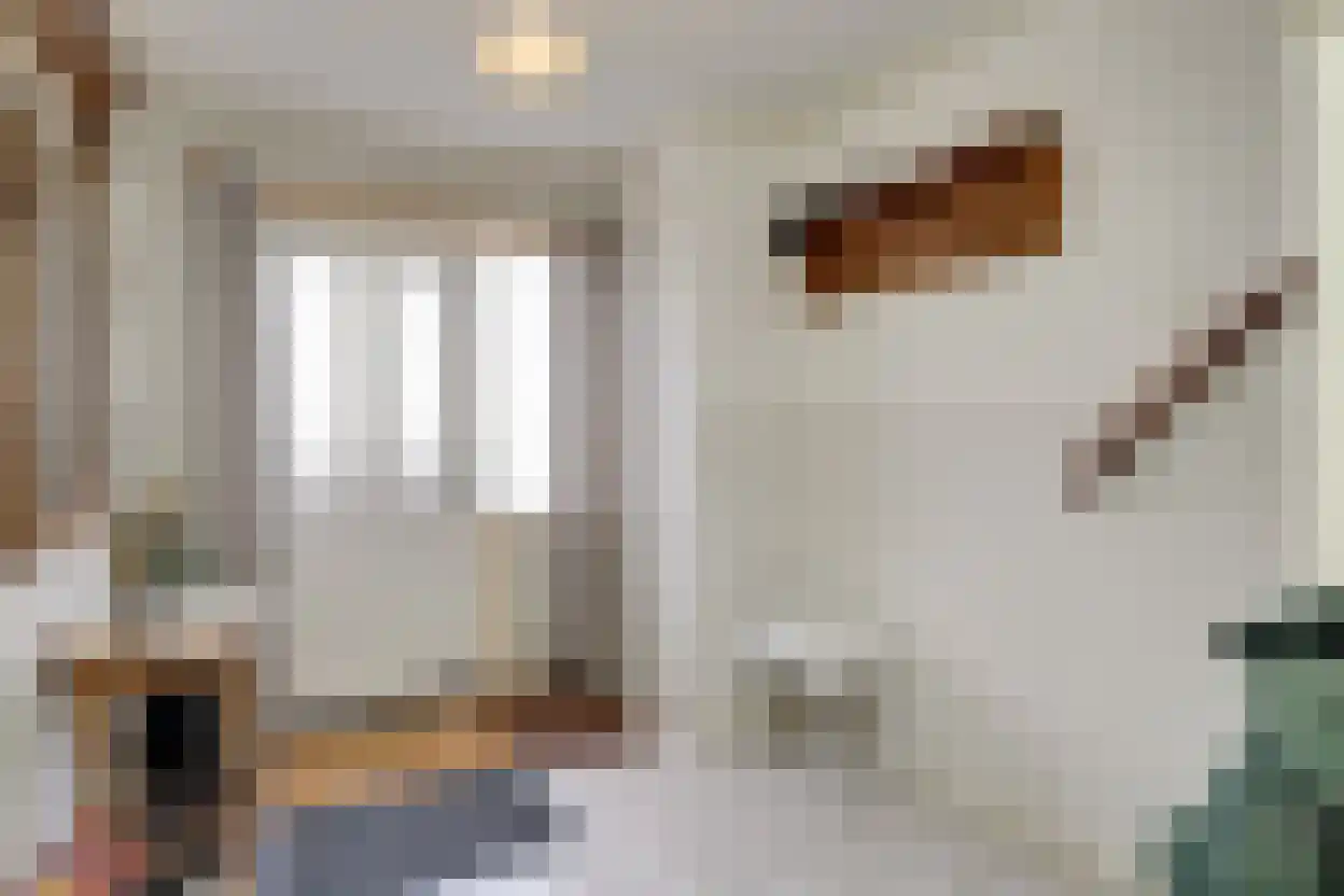 Tuinstraat 6 Benningbroek thumbnail 6