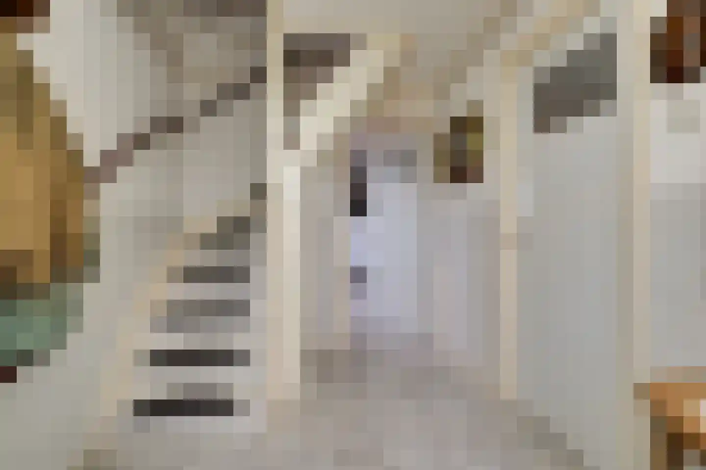 Tuinstraat 6 Benningbroek thumbnail 7