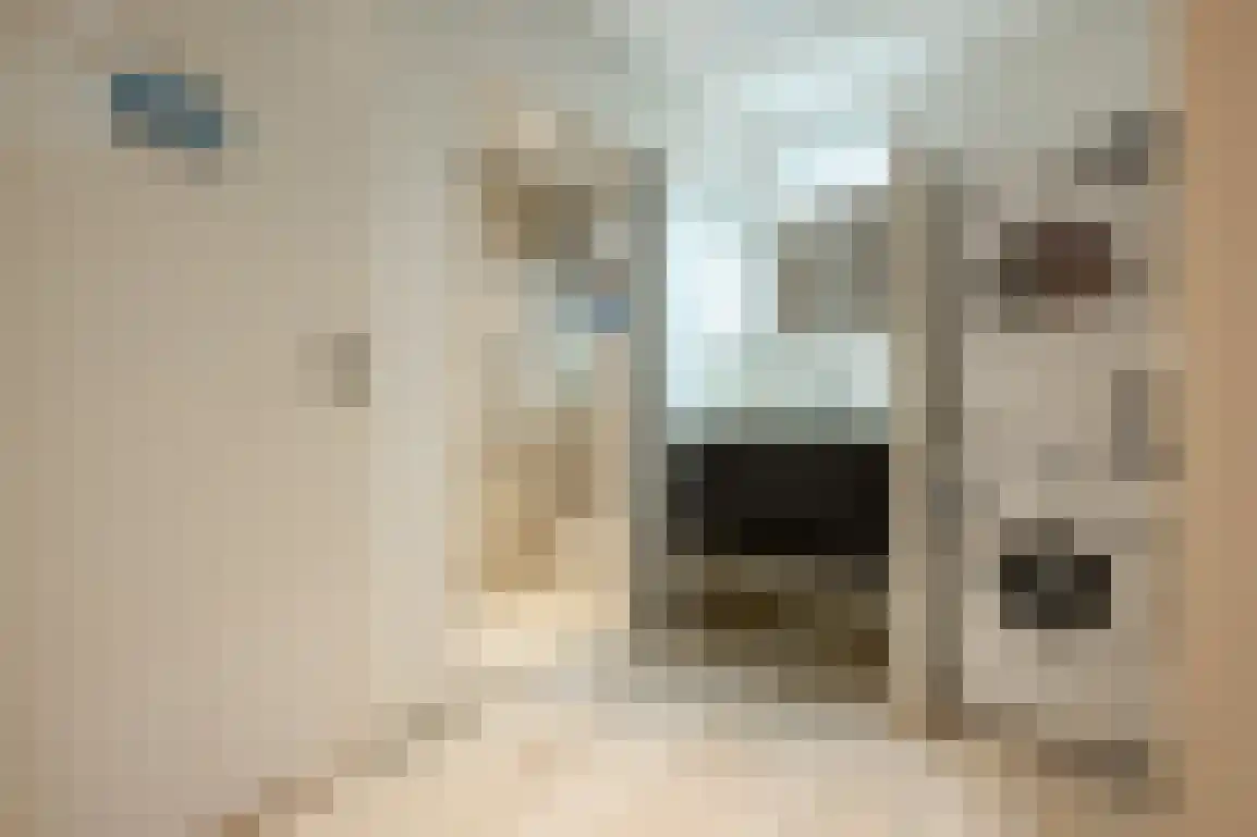 Tuinstraat 6 Dirksland thumbnail 21