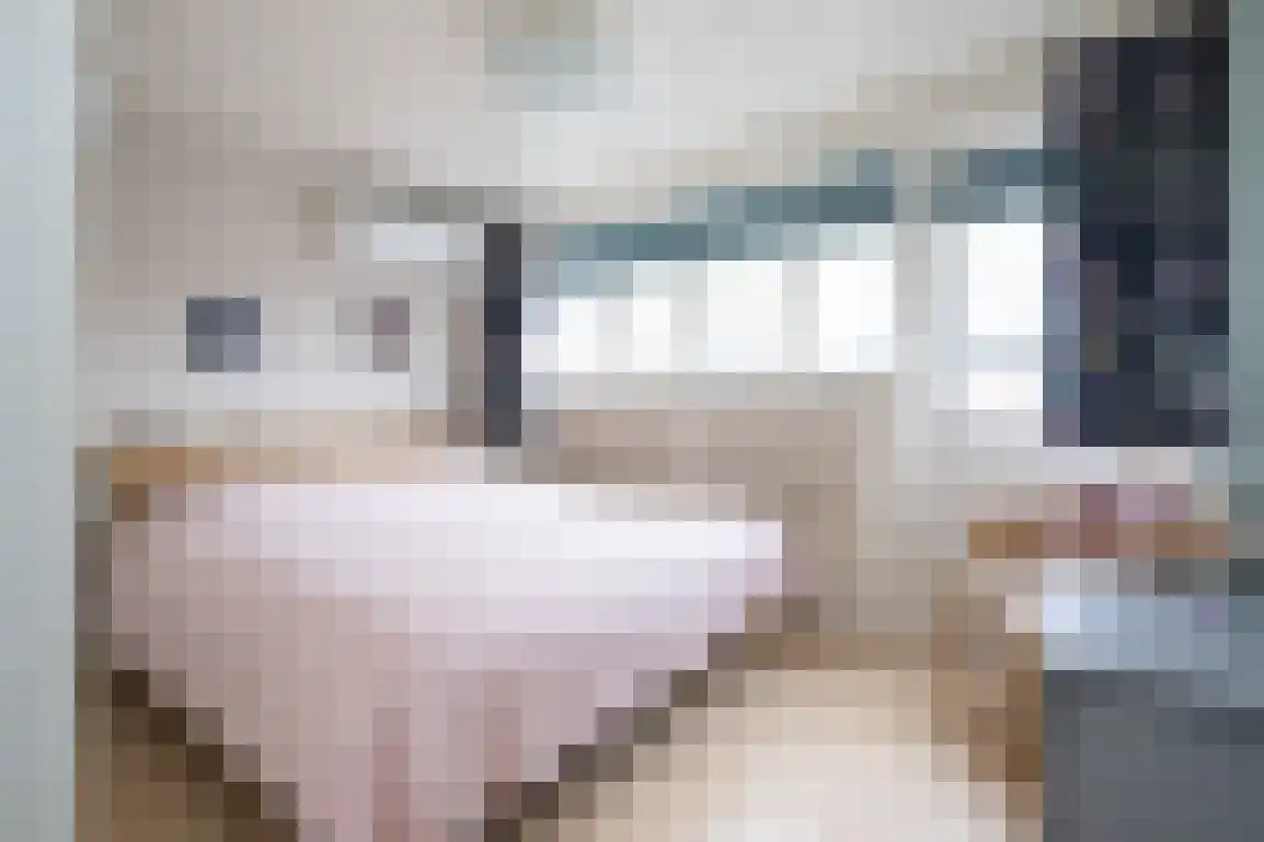Tuinstraat 6 Dirksland thumbnail 33