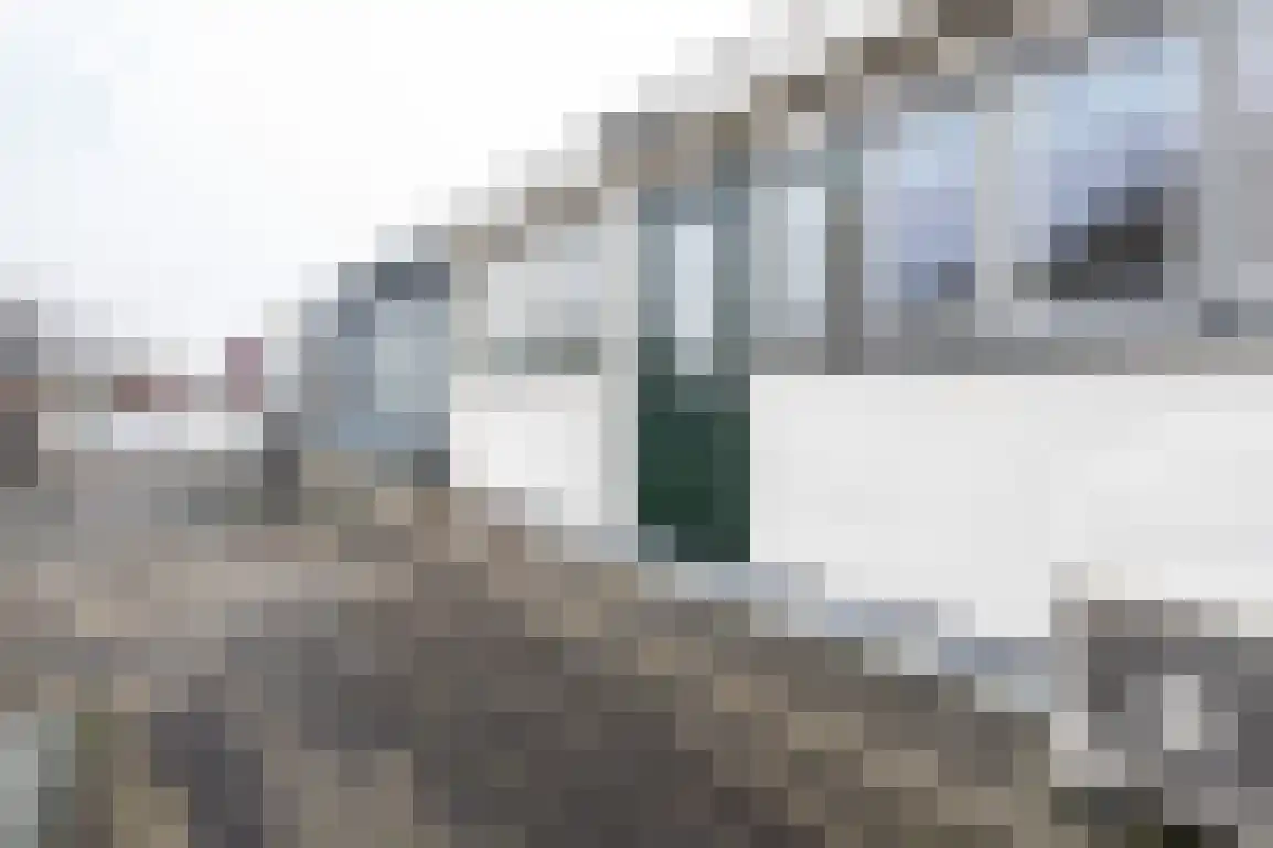 Tuinstraat 6 Dirksland thumbnail 36