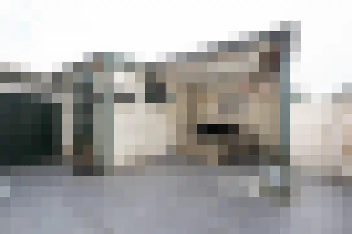 Tuinstraat 6 Dirksland thumbnail 4
