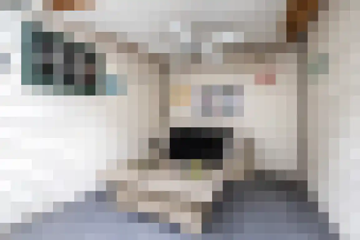 Tuinstraat 6 Dirksland thumbnail 41