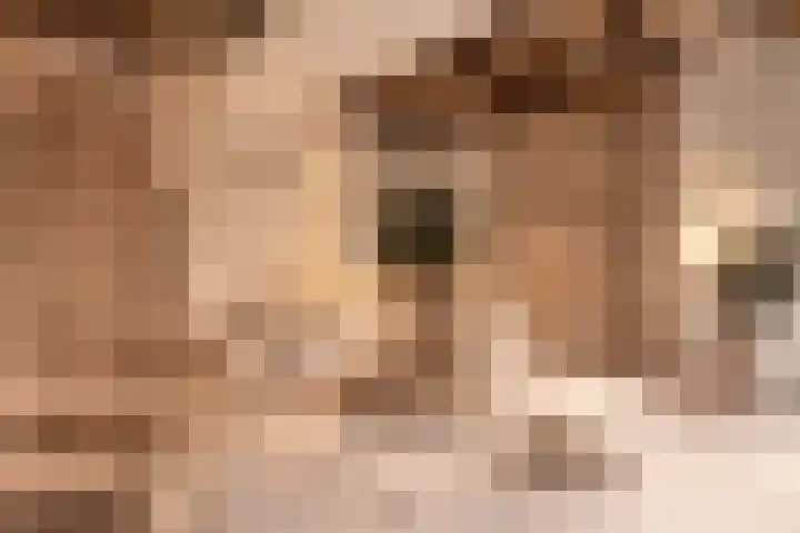 Tuinstraat 6 Makkum thumbnail 12
