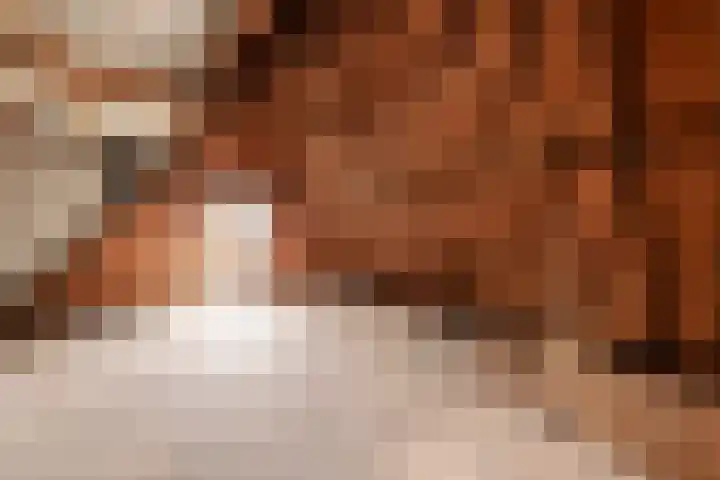 Tuinstraat 6 Makkum thumbnail 15