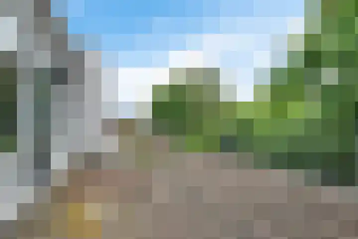 Tuinstraat 6 Zaandam thumbnail 30