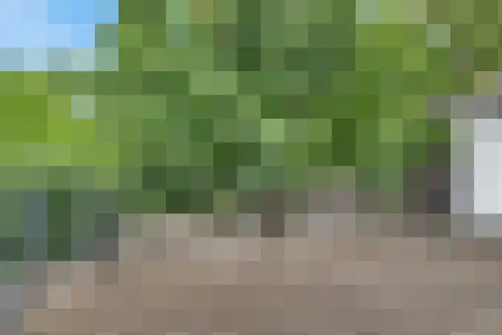 Tuinstraat 6 Zaandam thumbnail 32