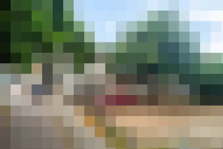 Tuinstraat 6 Zaandam thumbnail 41