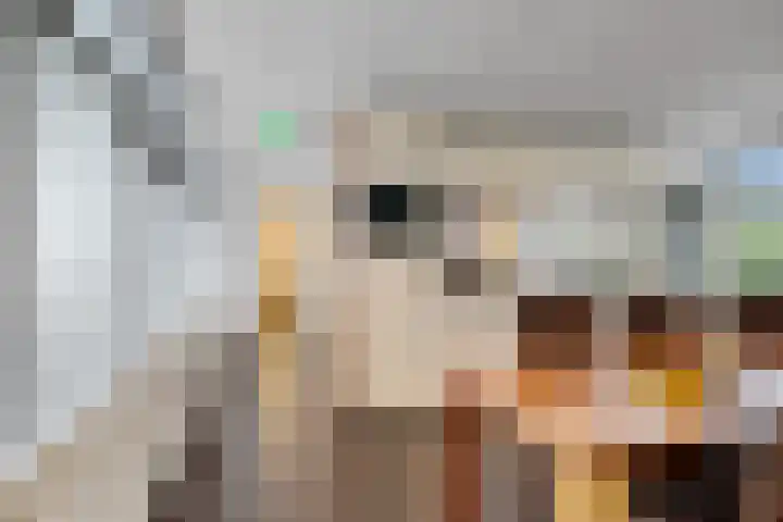 Tuinstraat 6 Zaandam thumbnail 5