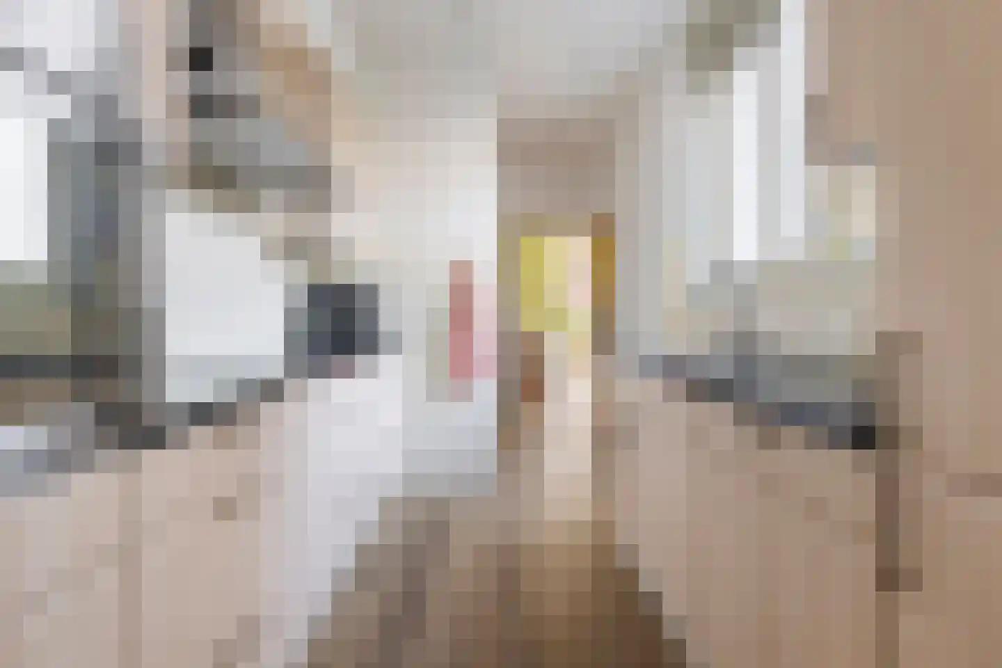 Tuinstraat 62 Groningen thumbnail 21