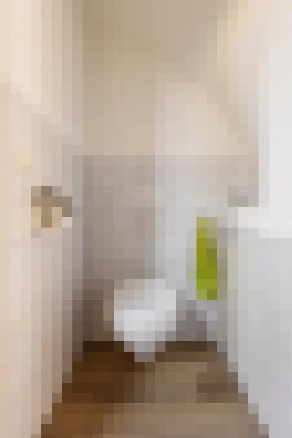 Tuinstraat 62 Groningen thumbnail 24