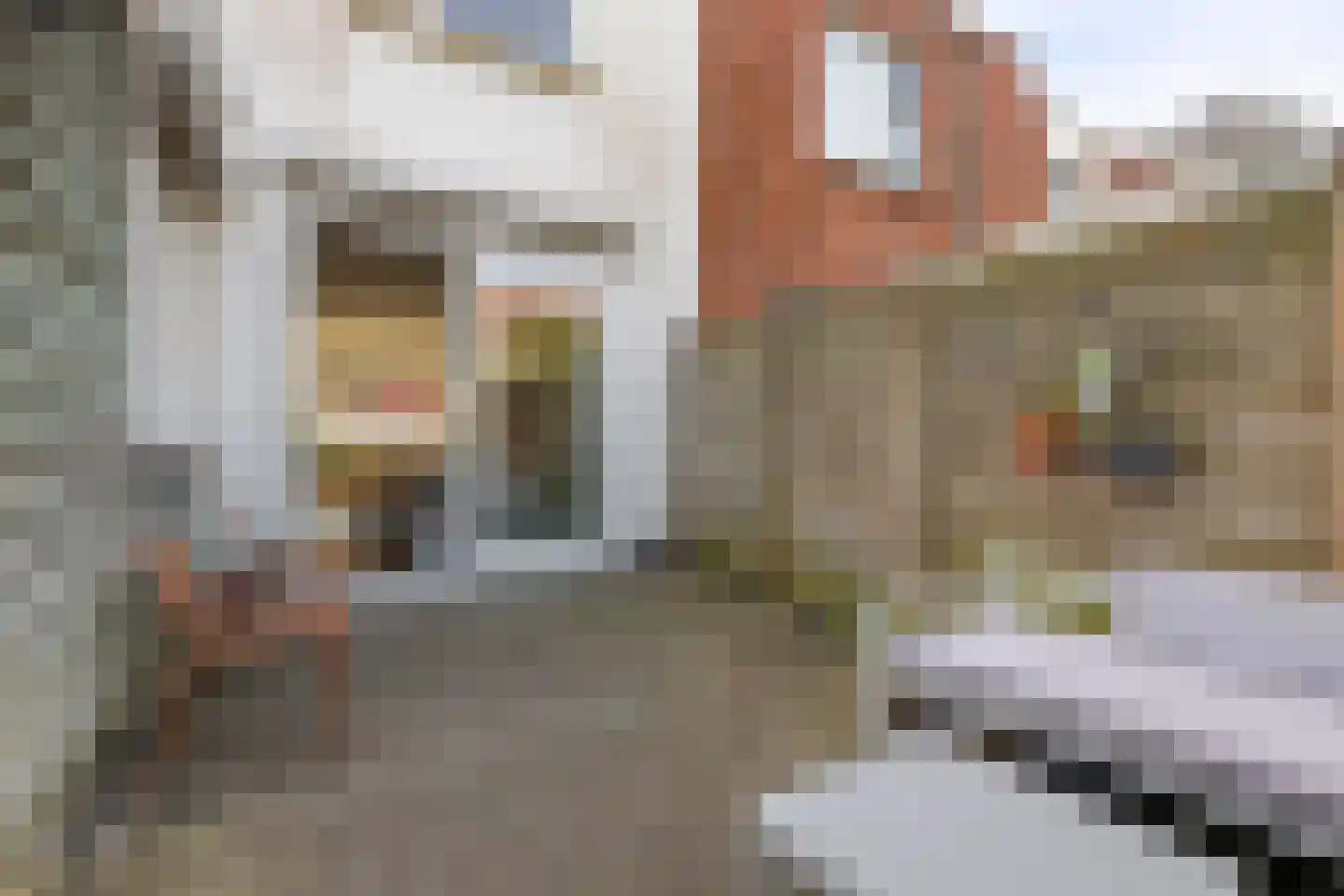 Tuinstraat 62 Groningen thumbnail 36