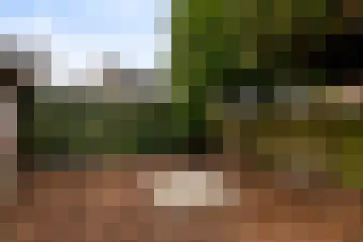 Tuinstraat 63 Assen thumbnail 24