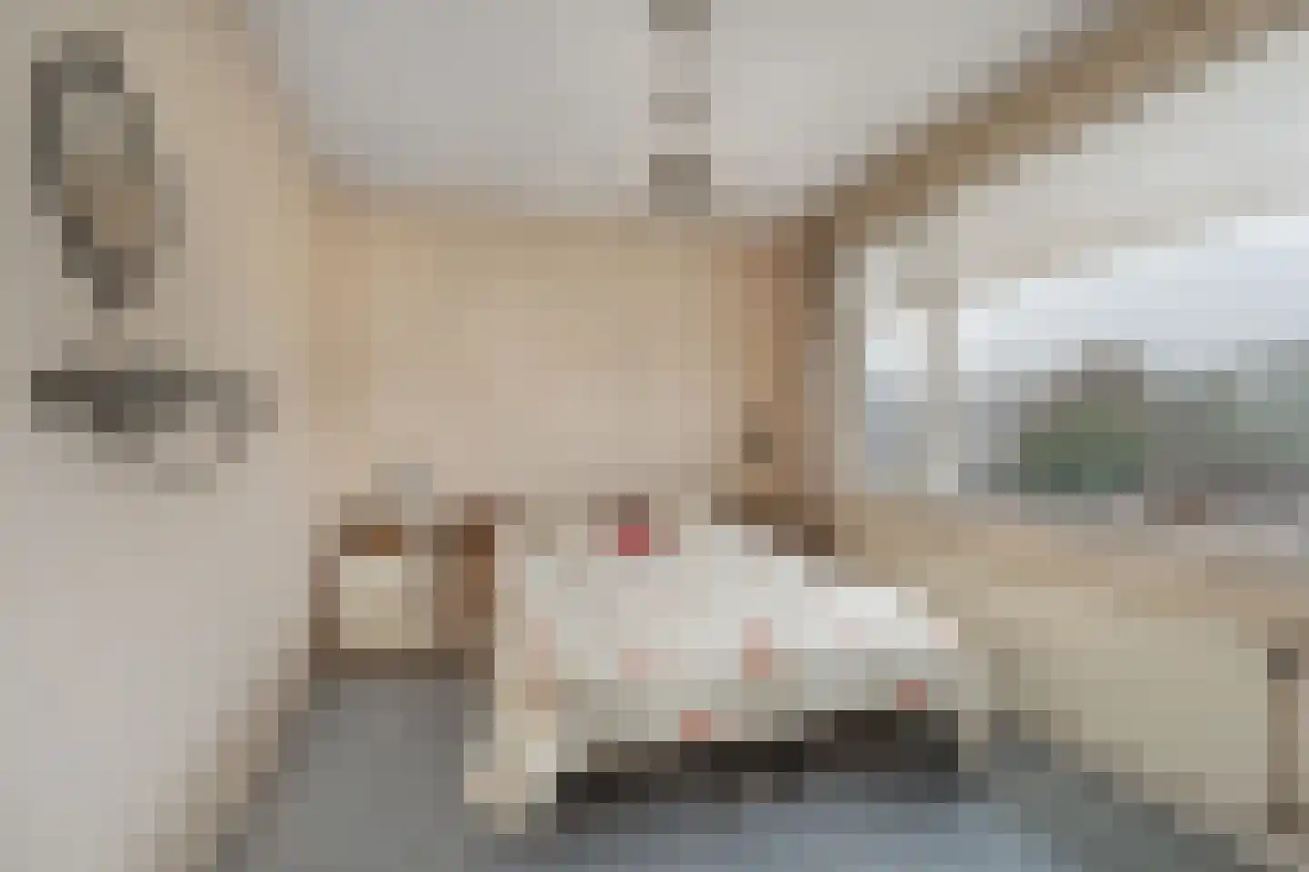Tuinstraat 64 Den Dungen thumbnail 17