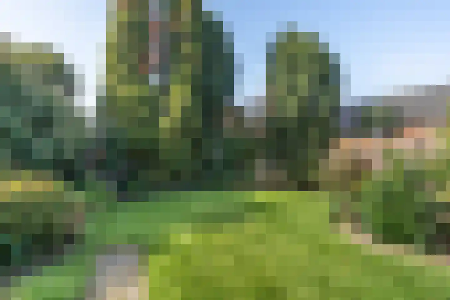 Tuinstraat 64 Den Dungen thumbnail 27