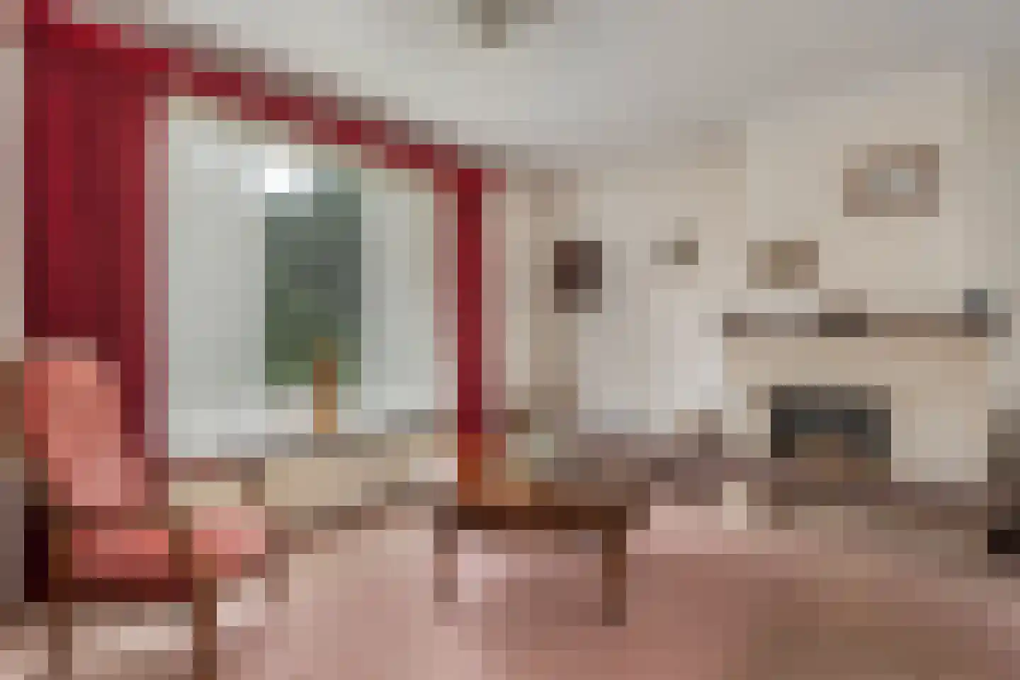 Tuinstraat 64 Den Dungen thumbnail 8