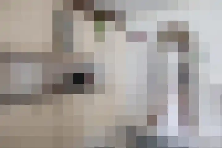 Tuinstraat 64 Dirksland thumbnail 11