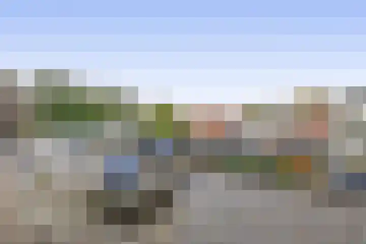 Tuinstraat 64 Dirksland thumbnail 19