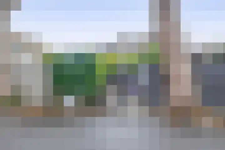 Tuinstraat 64 Dirksland thumbnail 23