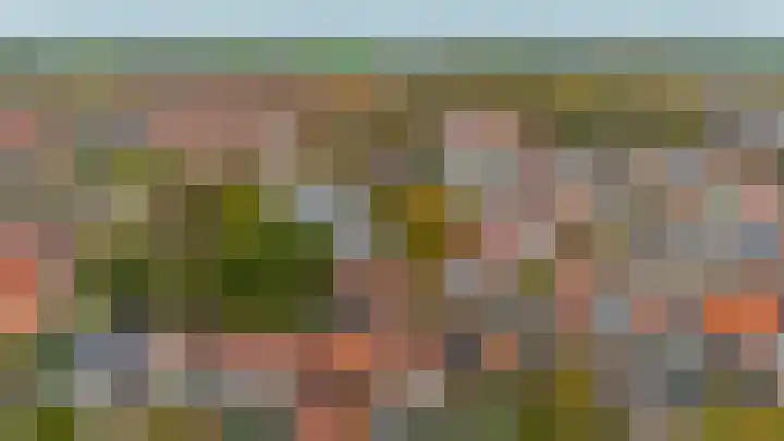 Tuinstraat 64 Dirksland thumbnail 24