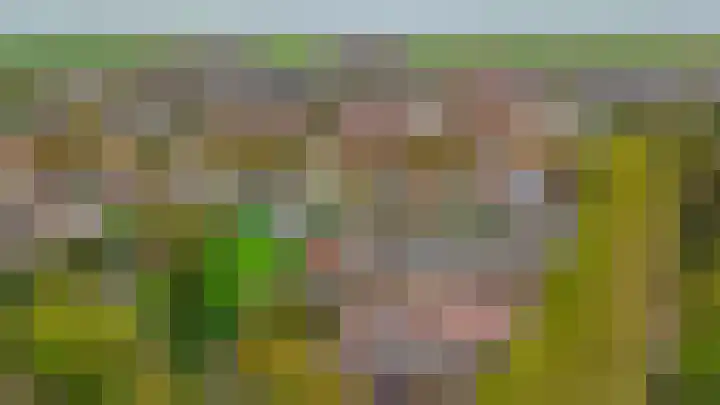 Tuinstraat 64 Dirksland thumbnail 25