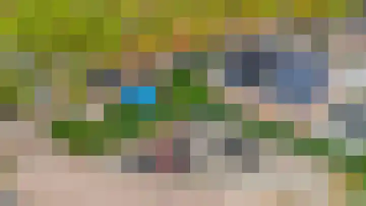 Tuinstraat 64 Dirksland thumbnail 27